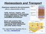 Homeostasis and Transport