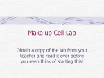 Make up Cell Lab