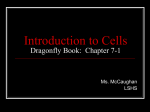Introduction to Cells Dragonfly Book: Chapter 7-1