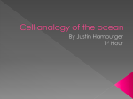 Cell analogy of the ocean - NylandBiology2012-2013