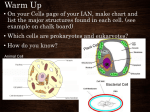 Cells - Krum ISD