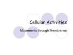 Cellular Activities - Berks Catholic High School