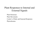 Control Systems in Plants