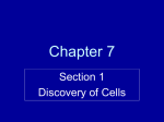 The Cell Theory