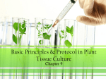 Basic Principles & Protocol in Plant Tissue Culture
