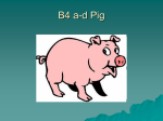 B4a-d Pig