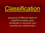 Classification