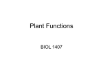 Introduction to Plants: Evolution, Characteristics and Life Cycle