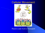 Cellular Movement