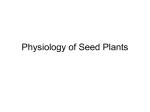Physiology of Seed Plants