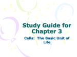 Chapter 3 Study Guide-2009