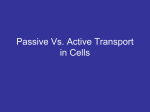 Passive Vs. Active Transport