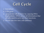 Mitosis - Madison County Schools