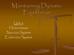 Maintaining Dynamic Equilibrium