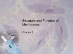 Structure and Function of Membranes
