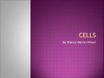 Cells - biologybi