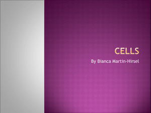 Cells - biologybi