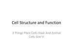 Cell Structure and Function