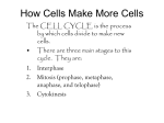 Cell Division - Cobb Learning