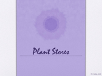 Plant Stores
