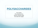 2012polysaccharides1..