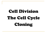 Cell Division - Science-with