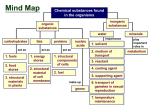 Mind Map 1(Section I,II)