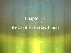 Chapter 21 Presentation
