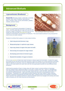 Advanced Biofuels Lignocellulosic Bioethanol Keywords