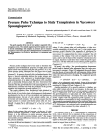 Sporangiophores' Technique Study Transpiration Pressure Probe