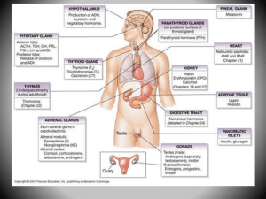 CRYDERS-Endocrine System