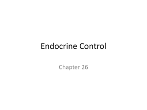 Endocrine Control - Harford Community College