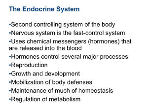 Nerve activates contraction