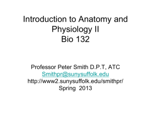 Introduction to Anatomy and Physiology II BY 32