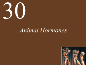 Hormones - Humble ISD