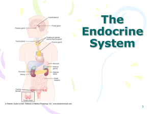 Endocrine PPT