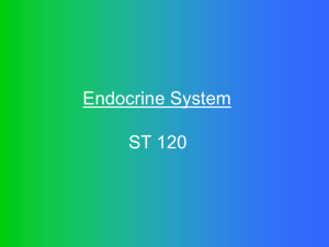 Endocrine System