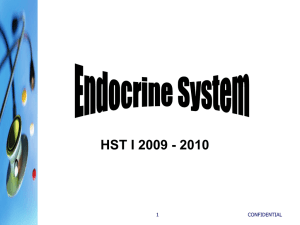 Endocrine System - Practicum-Health-II-2011-2012