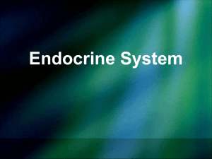 Endocrine System - Northwest ISD Moodle