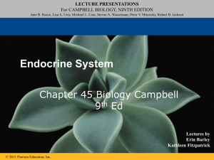45 Campbell 9th Endocrine
