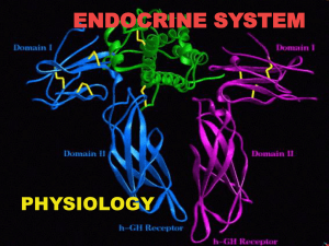 Endocrine Glands 11