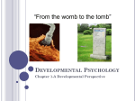 Developmental Psychology - David Sedghi's Home Page
