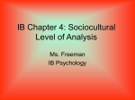 IB Chapter 4: Sociocultural Level of Analysis