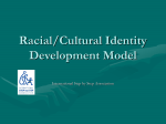 Racial/Cultural Identity Development Model