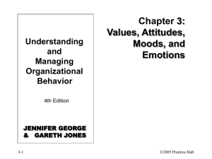 Organizational Behavior_Chapter 3