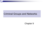 Criminal Groups and Networks
