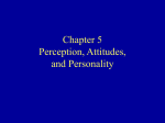 Chapter 4 Perception, Attitudes, and Personality