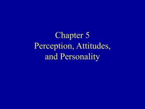 Chapter 4 Perception, Attitudes, and Personality