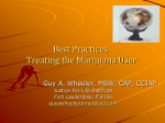 Guy Wheller Treating the Marijuana User 5.12.14