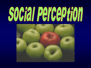 023_W2006_SocialPerception_full